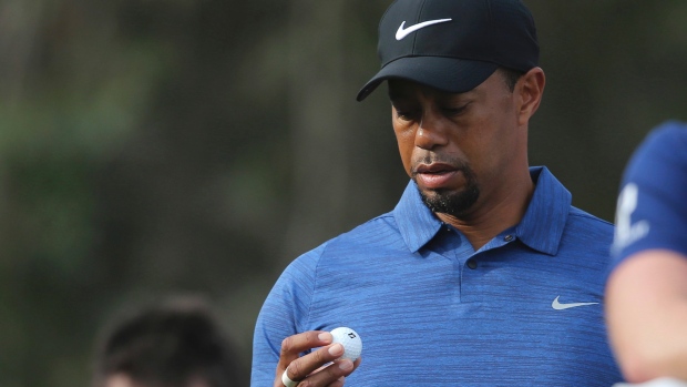 Tiger Woods Mug Shot and Statement